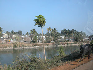 On the road to Kuchipudi